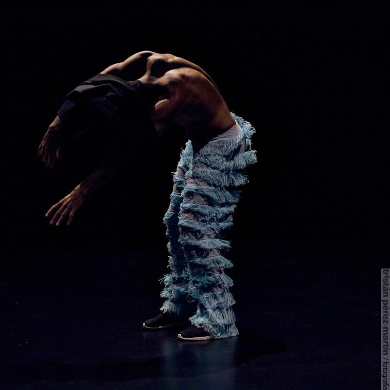 'Samba' de Reinaldo Ribeiro se verá el 13 de febrero.