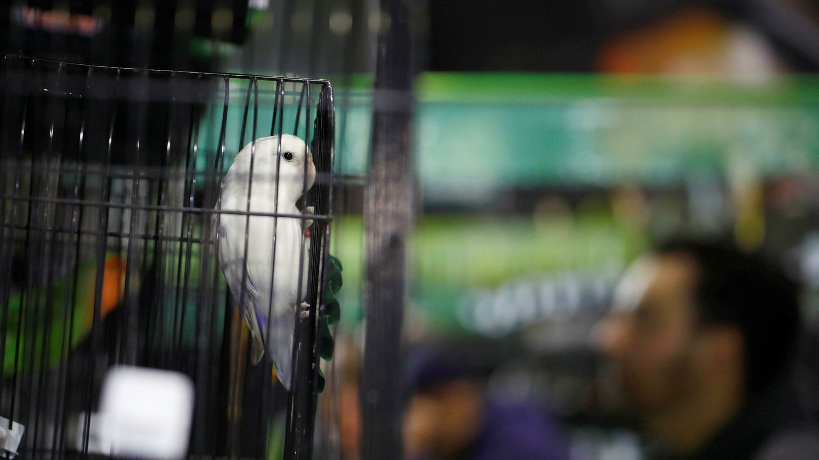 Un ejemplar del certamen.