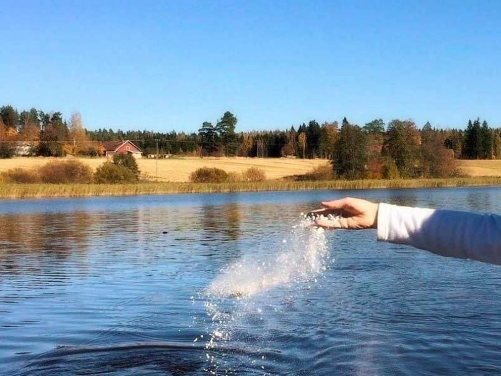 Tirar cenizas funerarias al mar requerirá nueva declaración responsabilidad