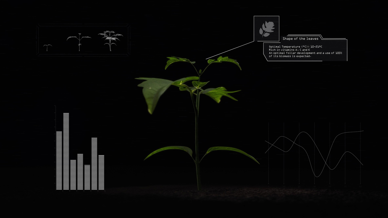 Green Moon Project: invernaderos en el espacio