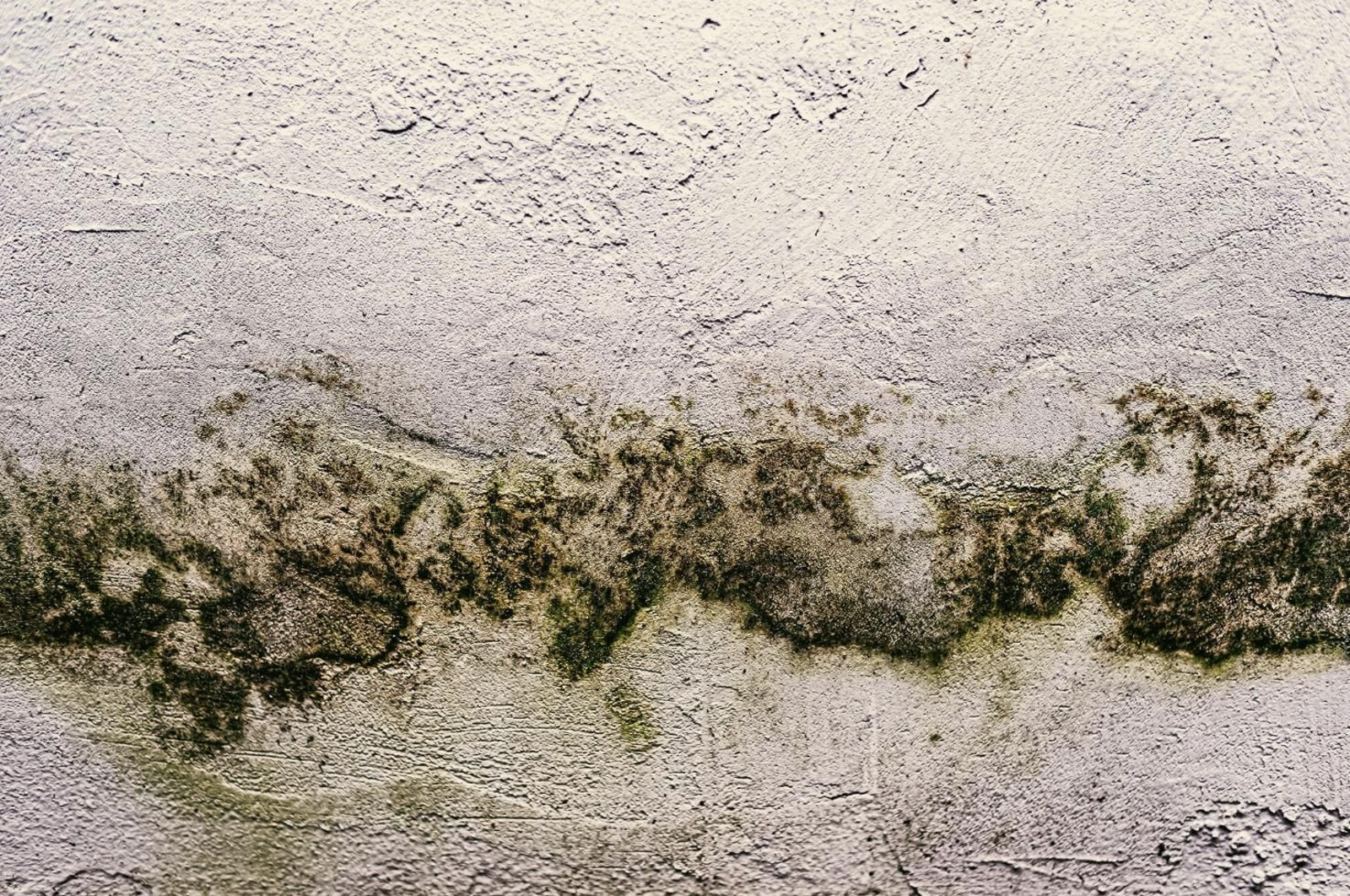 Tres formas de quitar el moho del baño sin pasarte horas limpiando