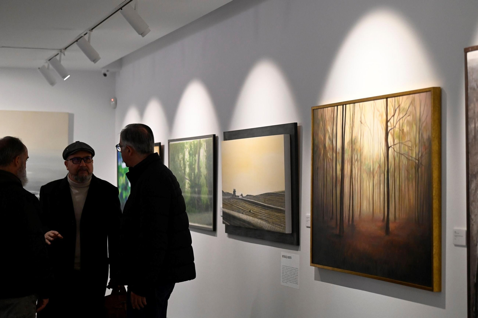 Un paseo en imágenes por la exposición 'Arde el día' del Centro de Arte Rafael Botí de Córdoba