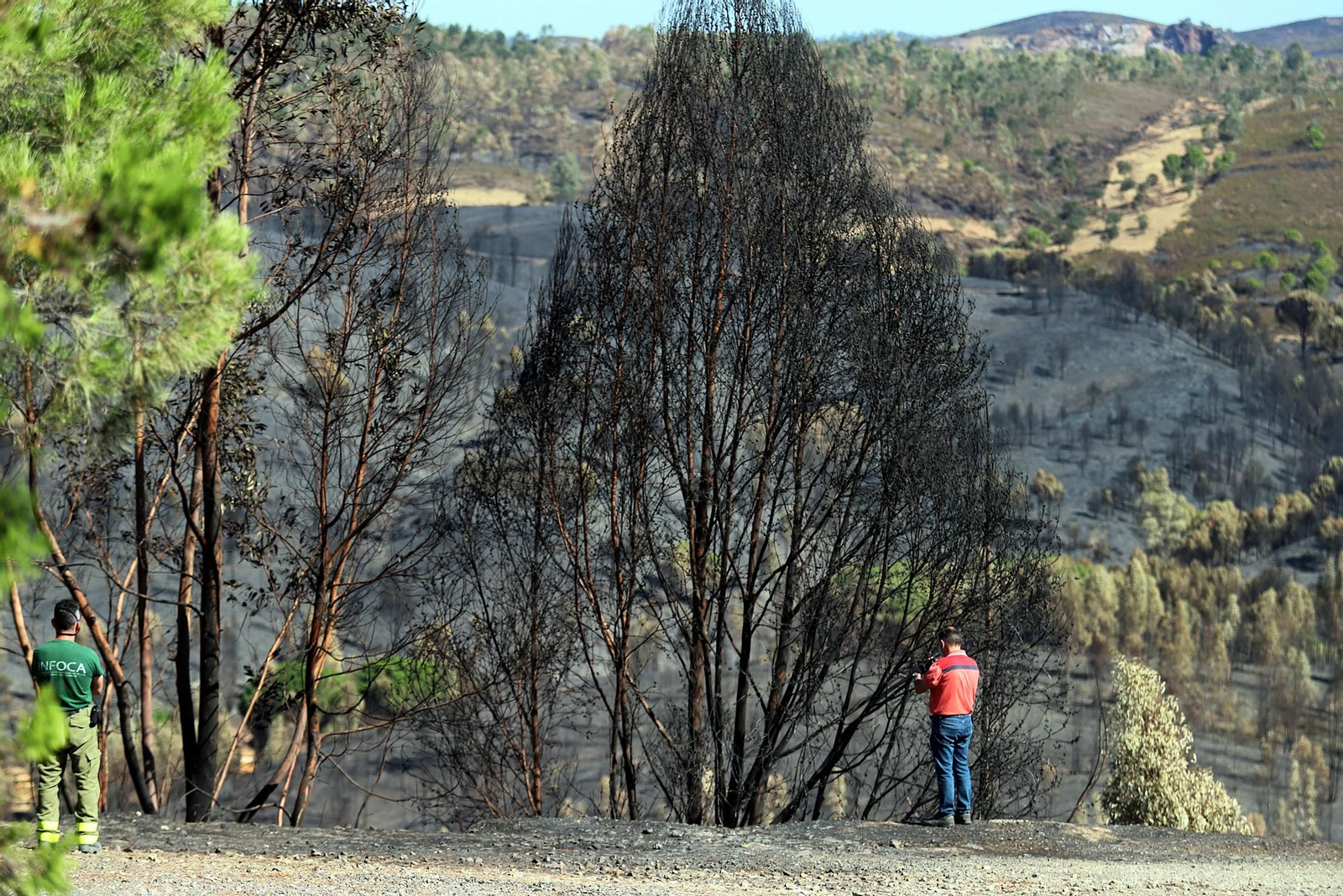 Imágenes de las zonas devastadas por el incendio de Almonaster la Real