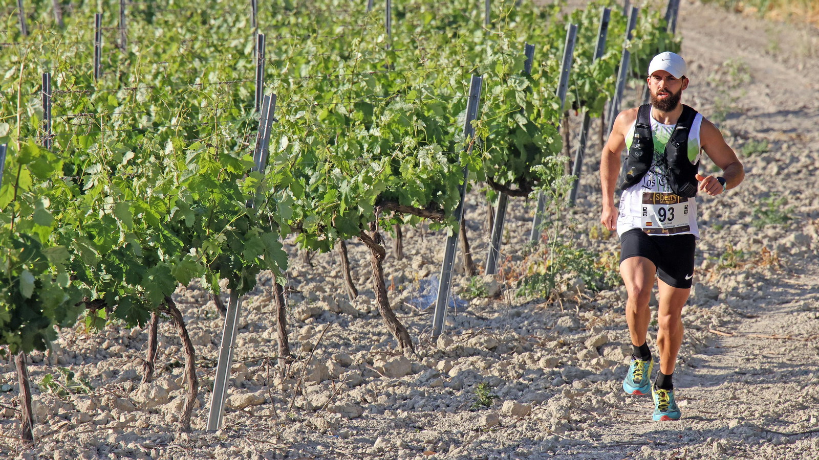 VI Sherry Maratón Jerez