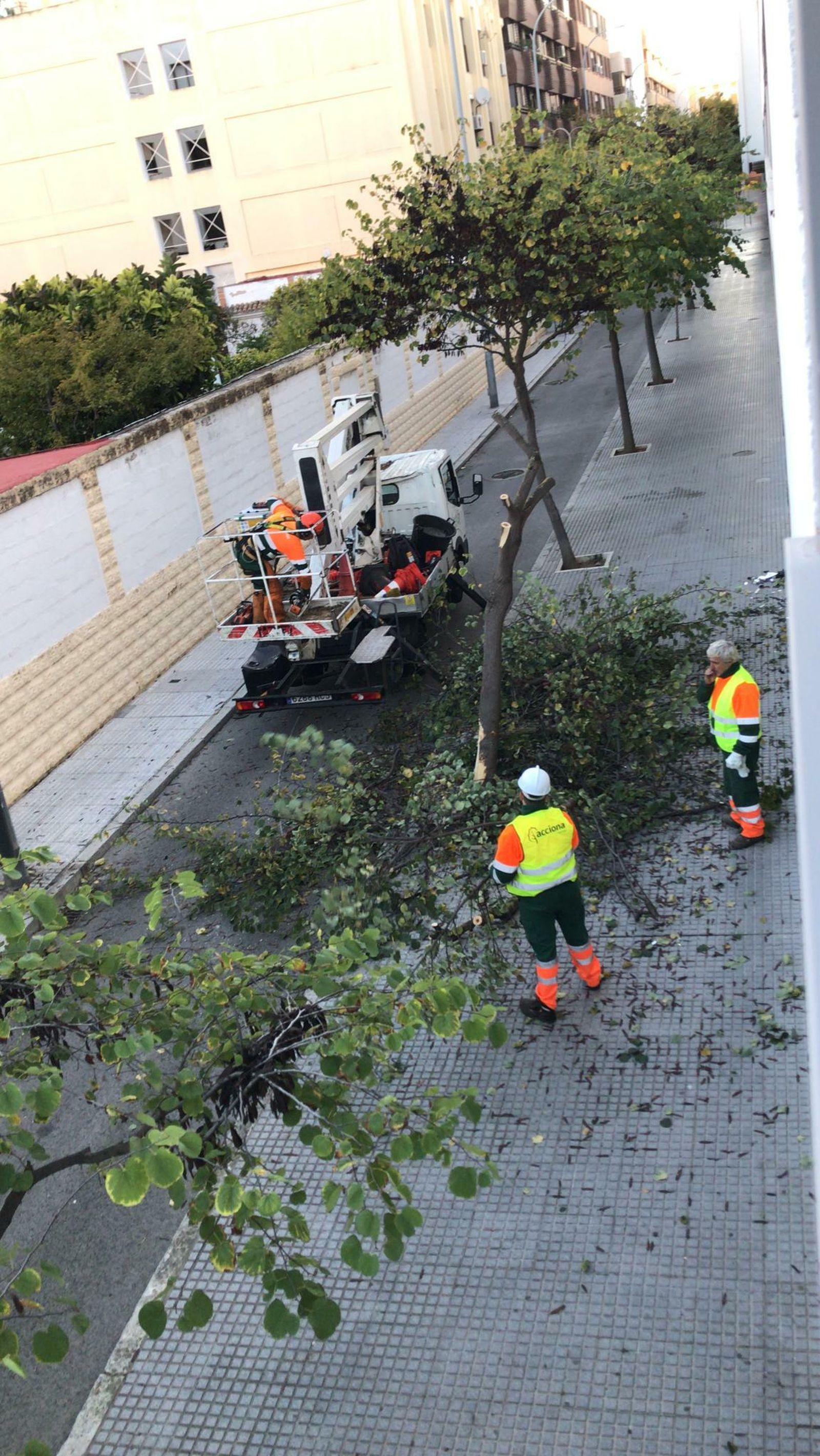 Labores de limpieza del servicio de jardinería tras la colisión del vehículo.