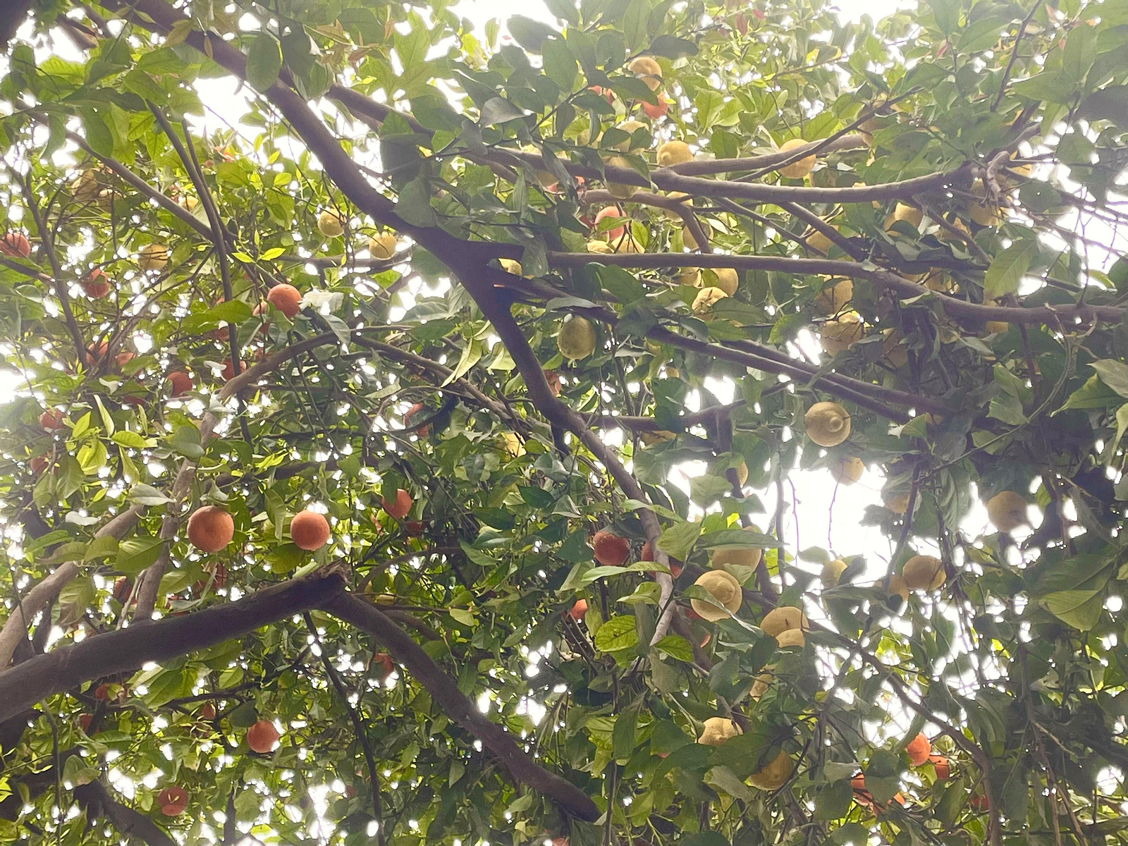 La belleza de Gilda, el palacete que perteneció a los Litri y hoy es punto de encuentro de onubenses