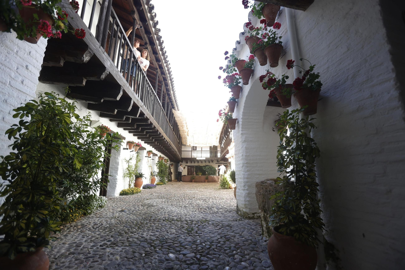Posada del Potro