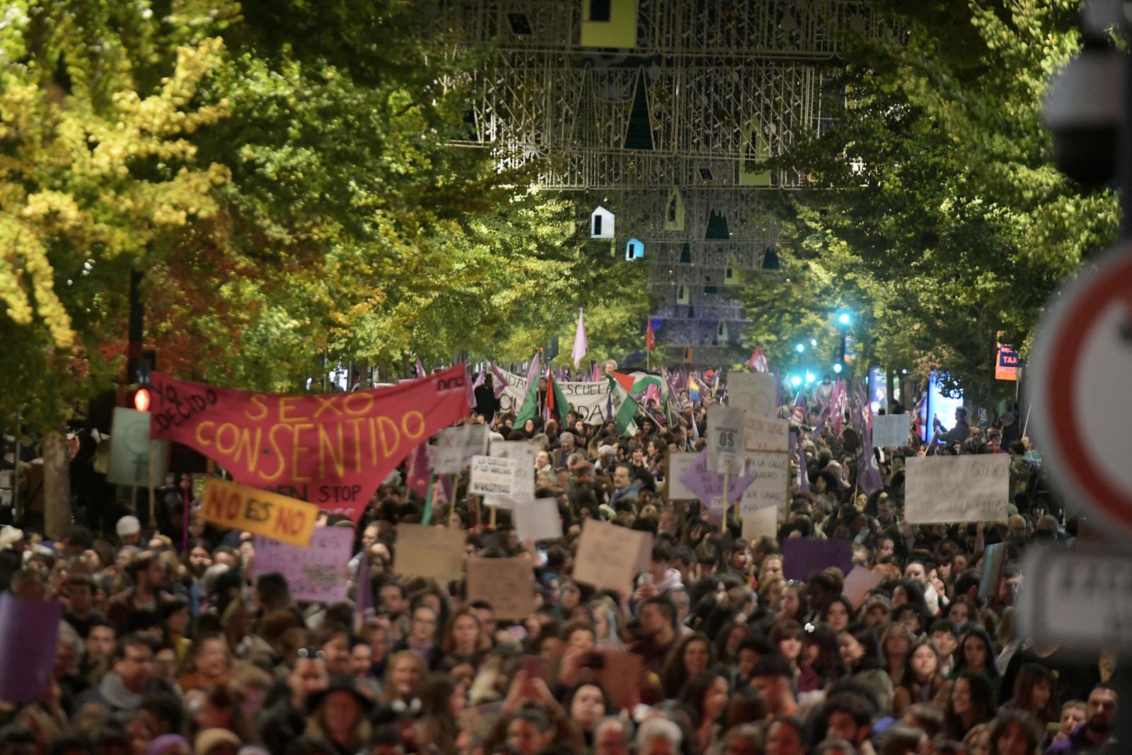 La manifestación del 25-N en Granada, en imágenes