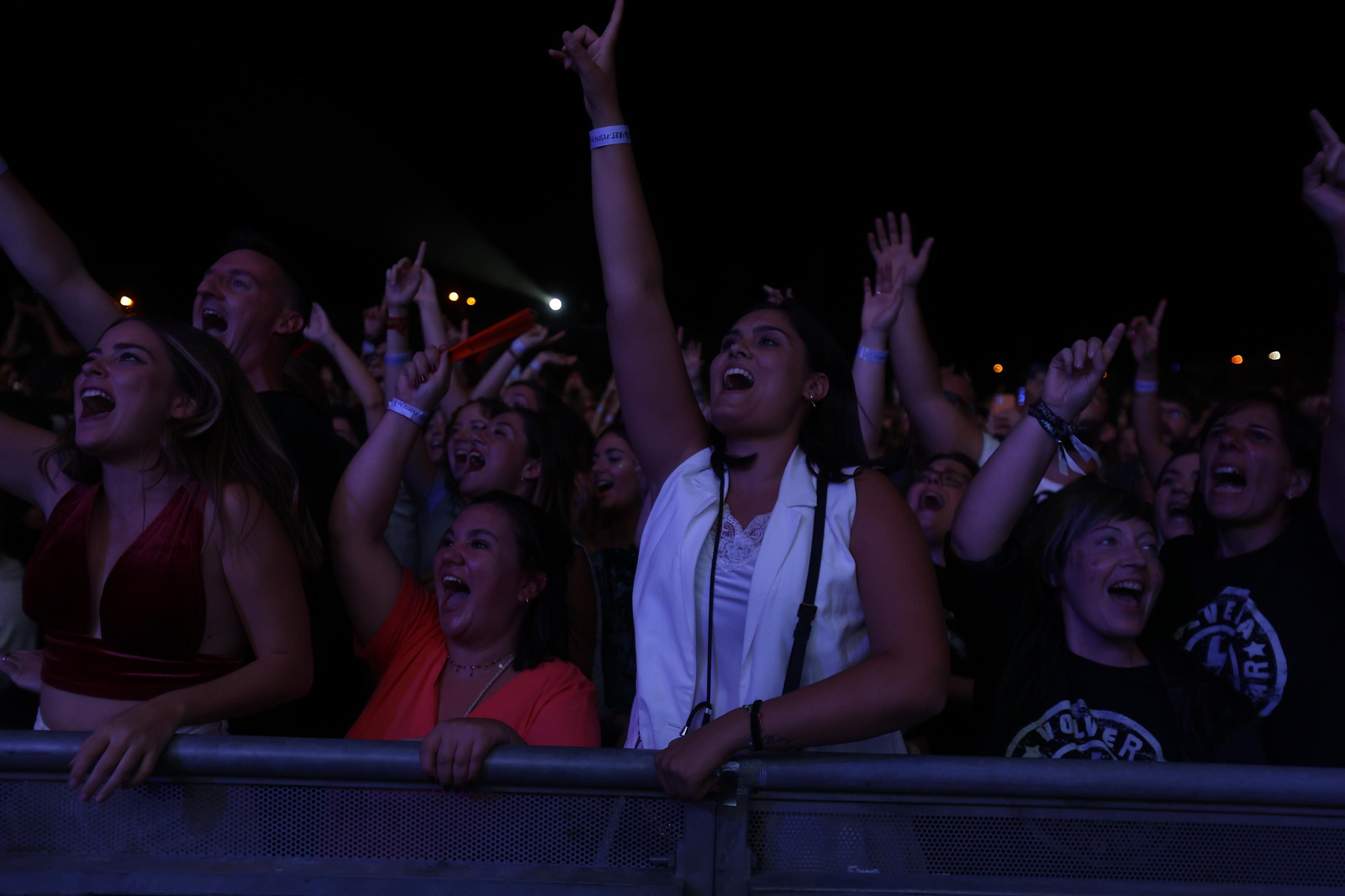Búscate en el concierto de Dani Martín