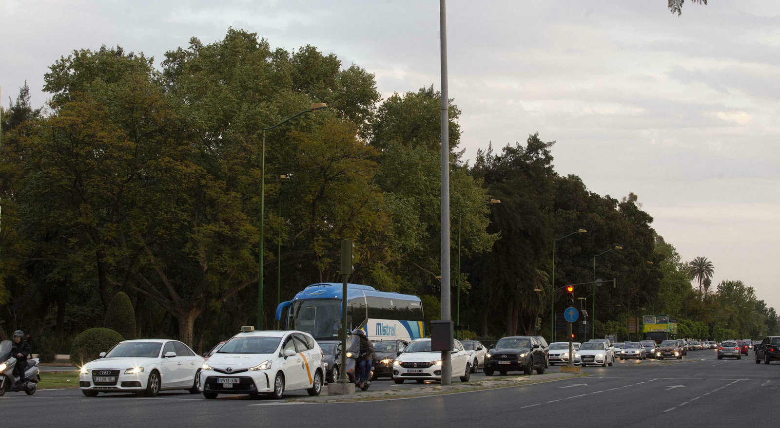 El papel del arbolado en Sevilla, clave para desafiar el cambio climático