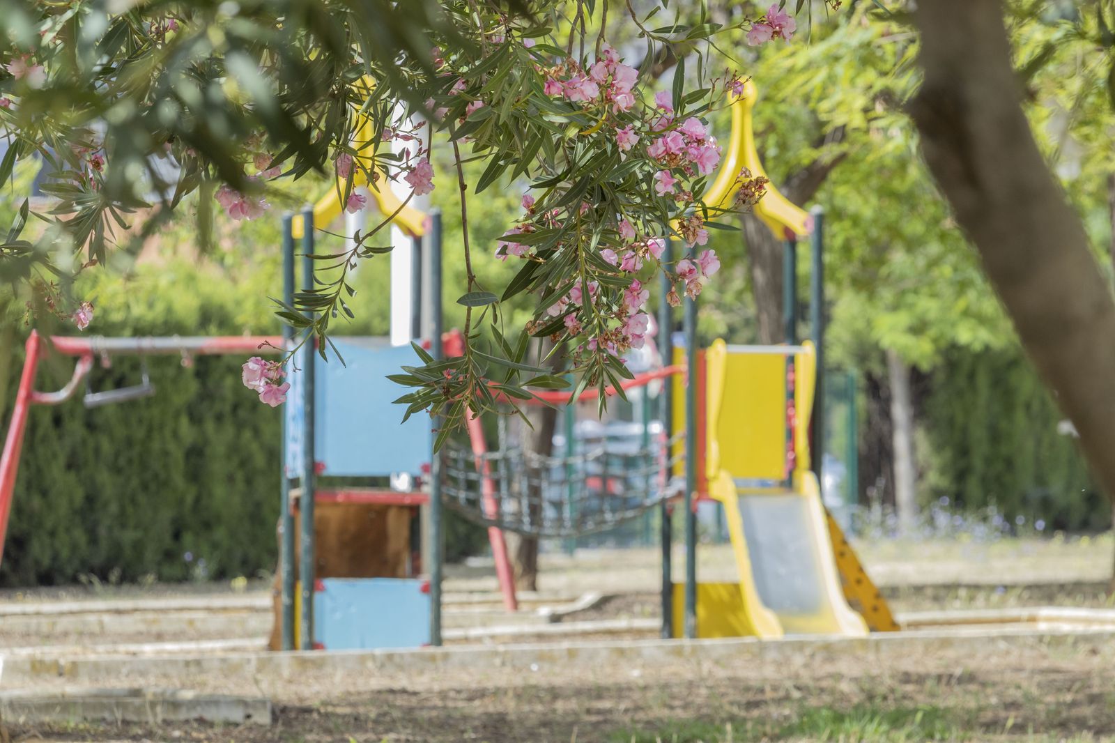 Imágenes del lunes 12 de junio en Huelva