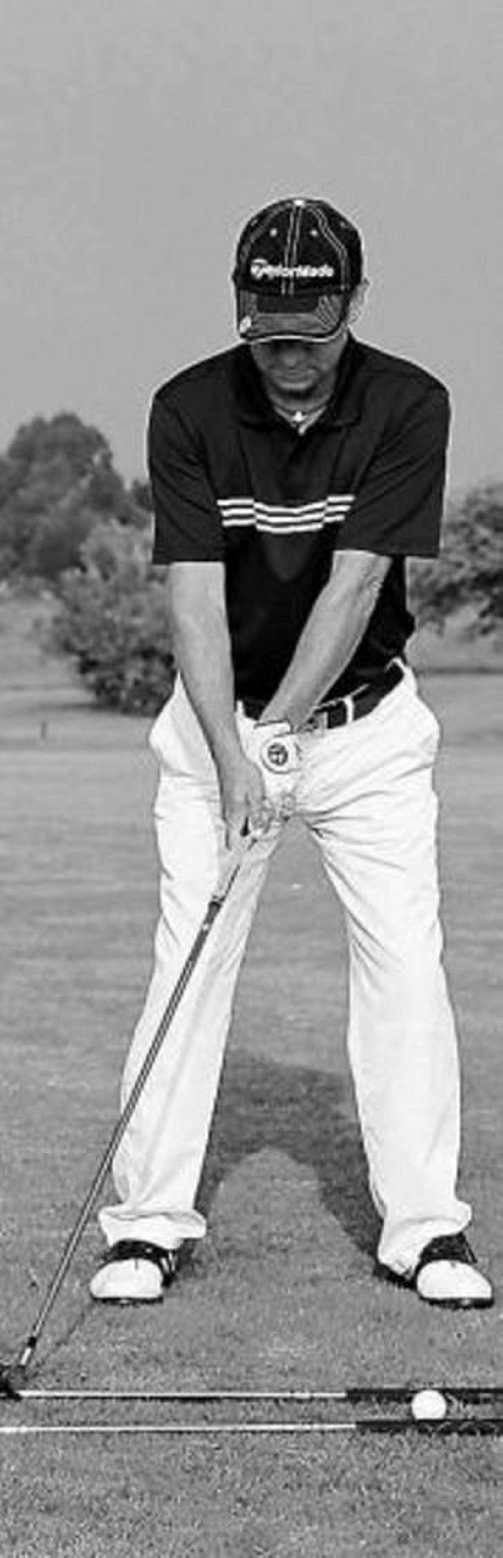 Vea la cabeza del palo en un rail...