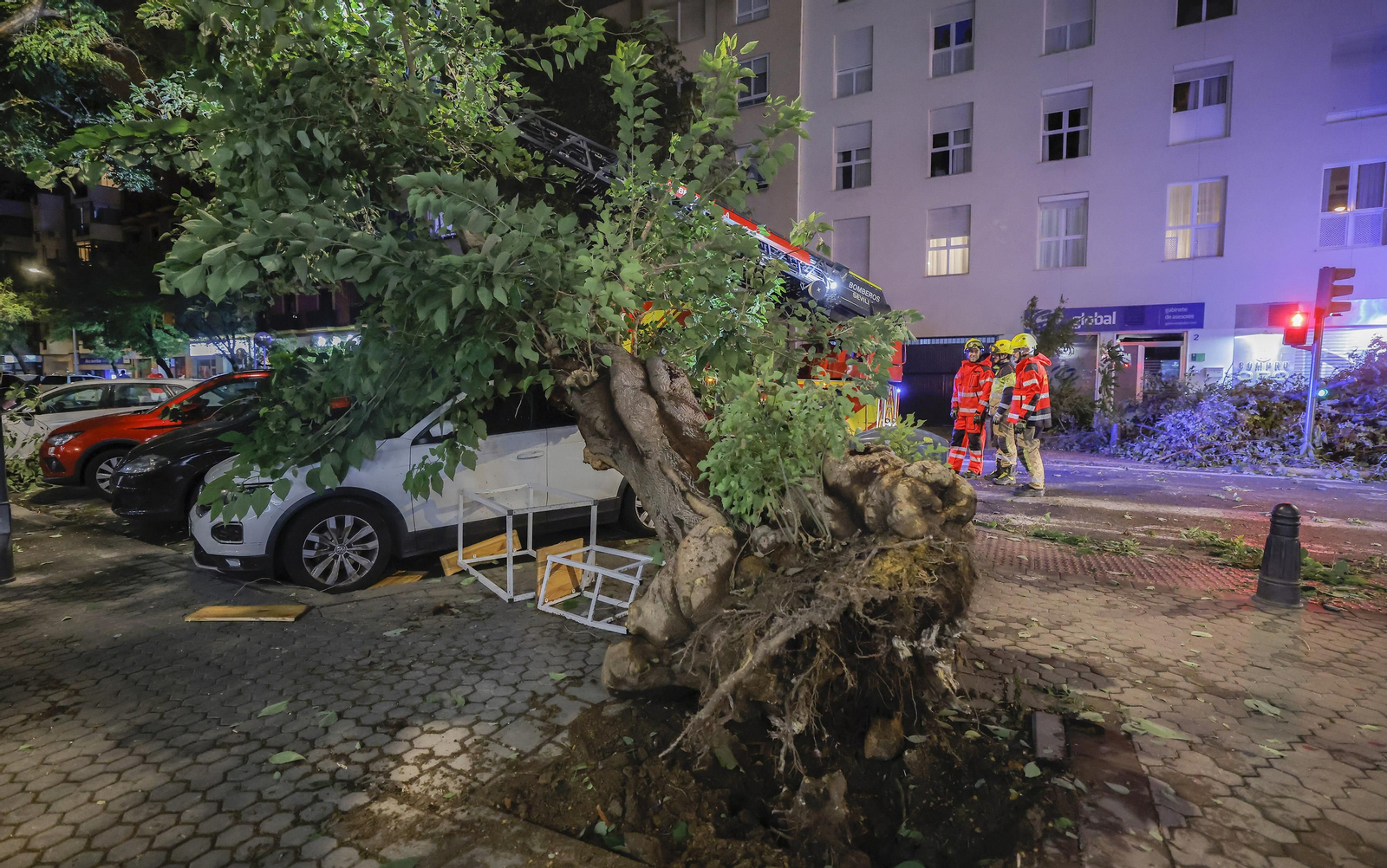 Los efectos de la borrasca 'Bernard' en Sevilla, todas las fotos