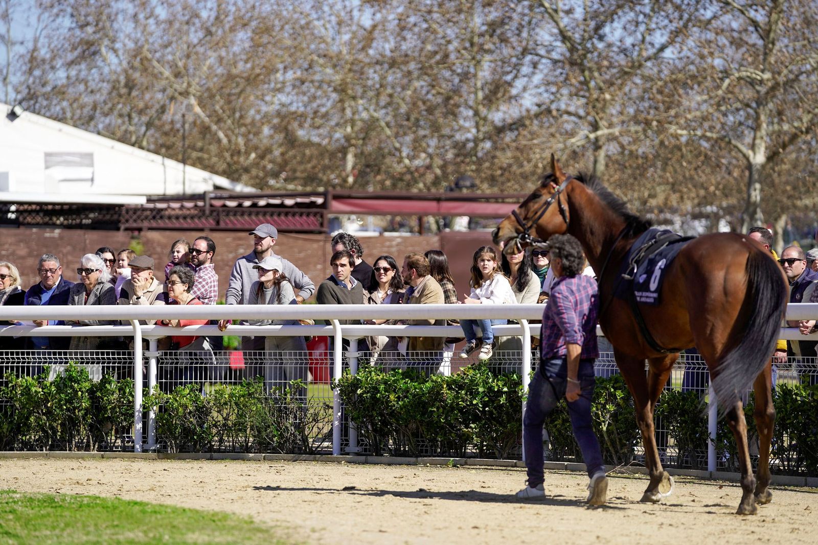 Las fotos del Premio Diario de Sevilla en el hipódromo de Dos Hermanas