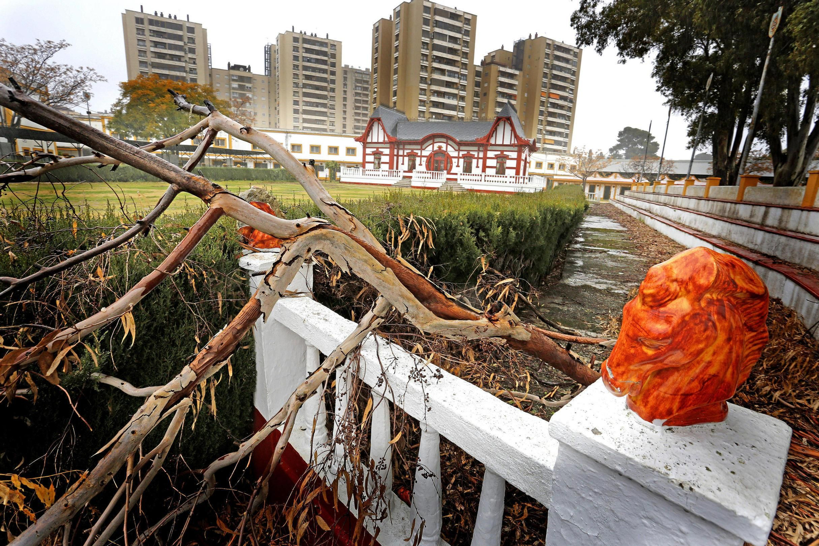 Imagen de esta semana del Depósito de Sementales. Imagen de esta semana del Depósito de Sementales.