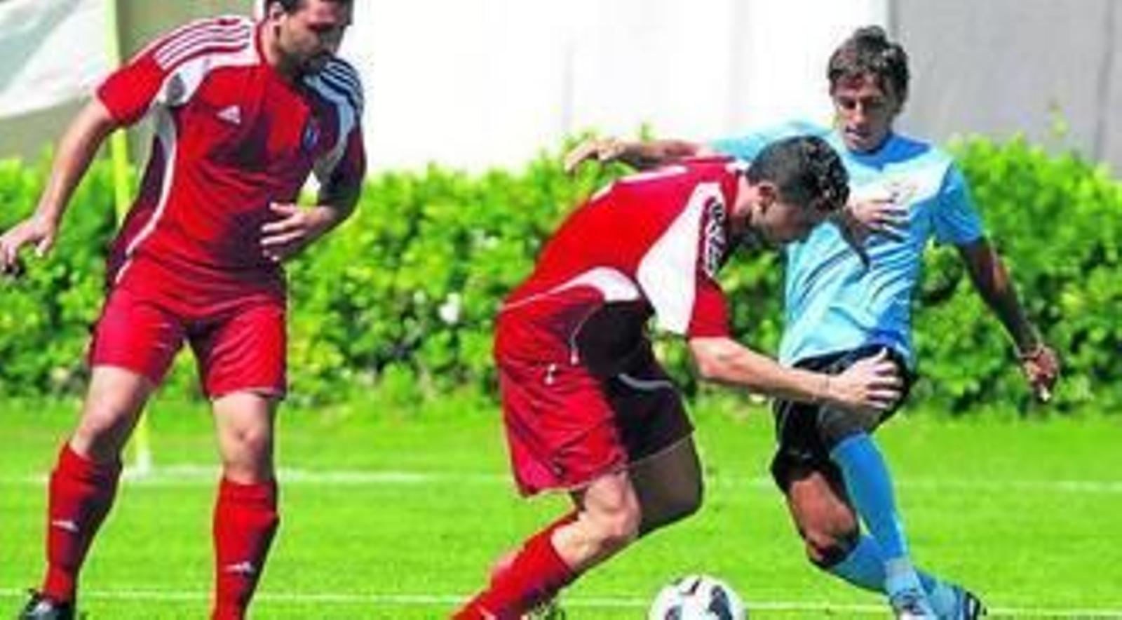 Buonanotte, ante el Horadada, en Campoamor.