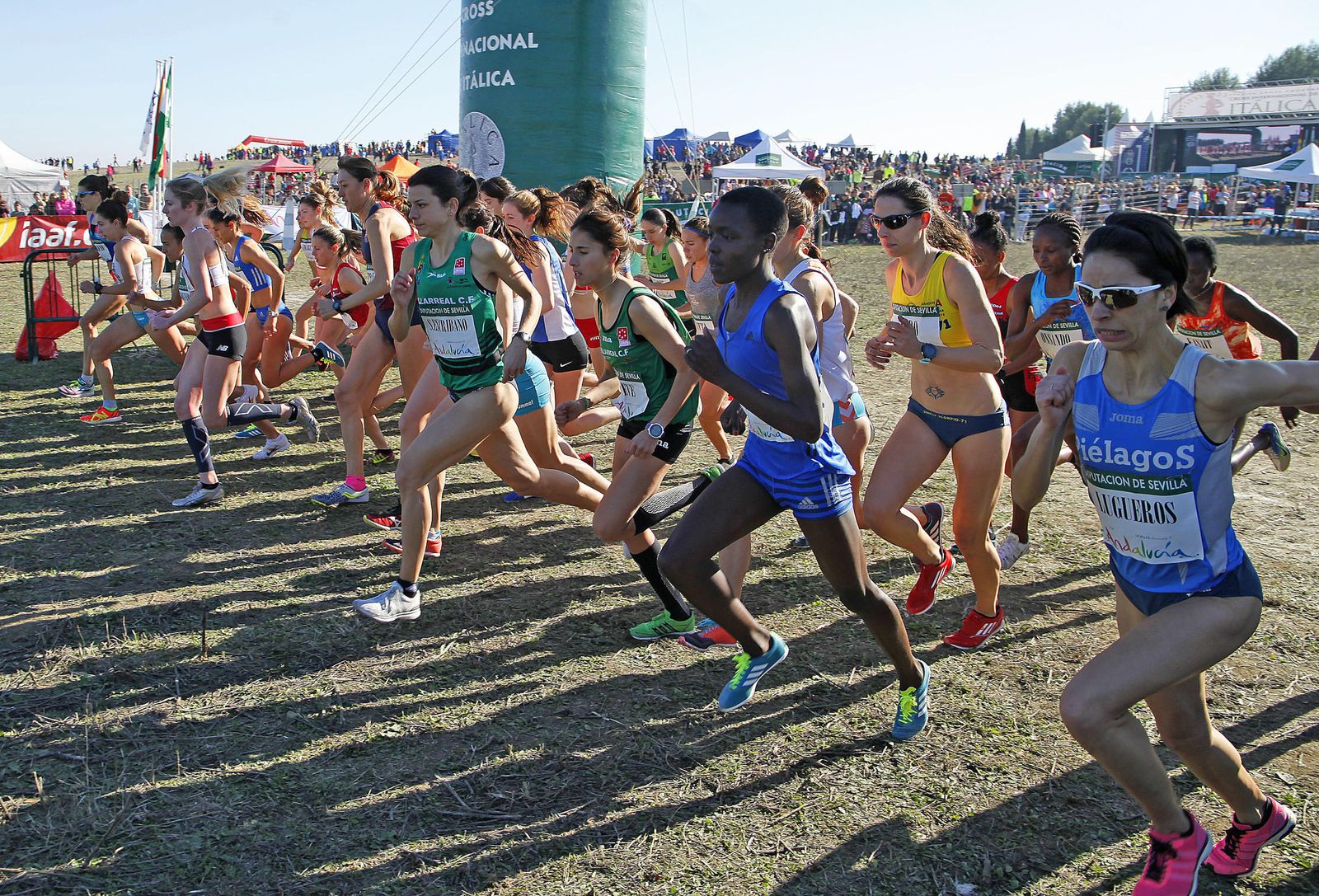 XXXVI edición del Cross Internacional de Itálica