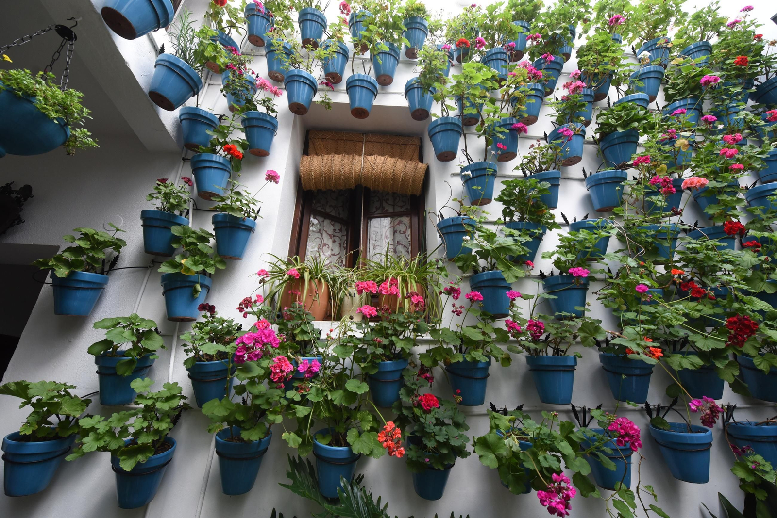 Una ruta en imágenes por los patios de la Judería y San Francisco