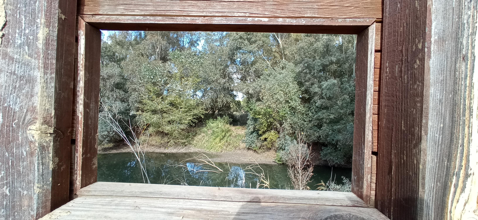 Las imágenes de la ruta ornitológica del corredor verde