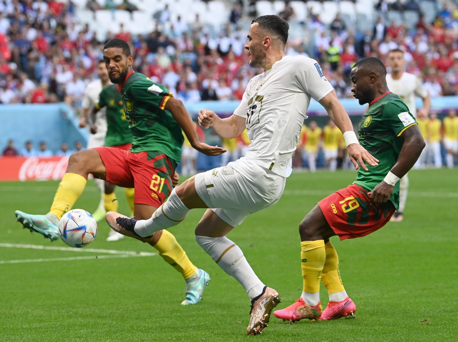 Las imágenes del Camerún - Serbia