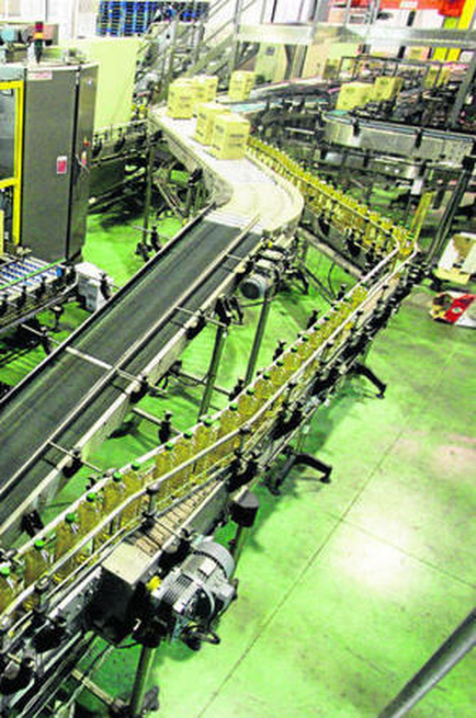 Un momento del proceso de envasado de aceite de Dcoop en Antequera.