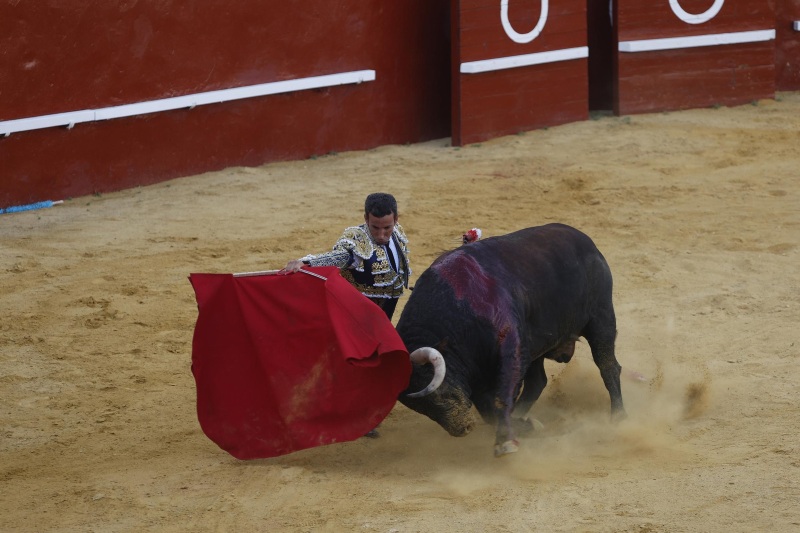 Las fotos de la corrida de toros de la Feria de San Roque