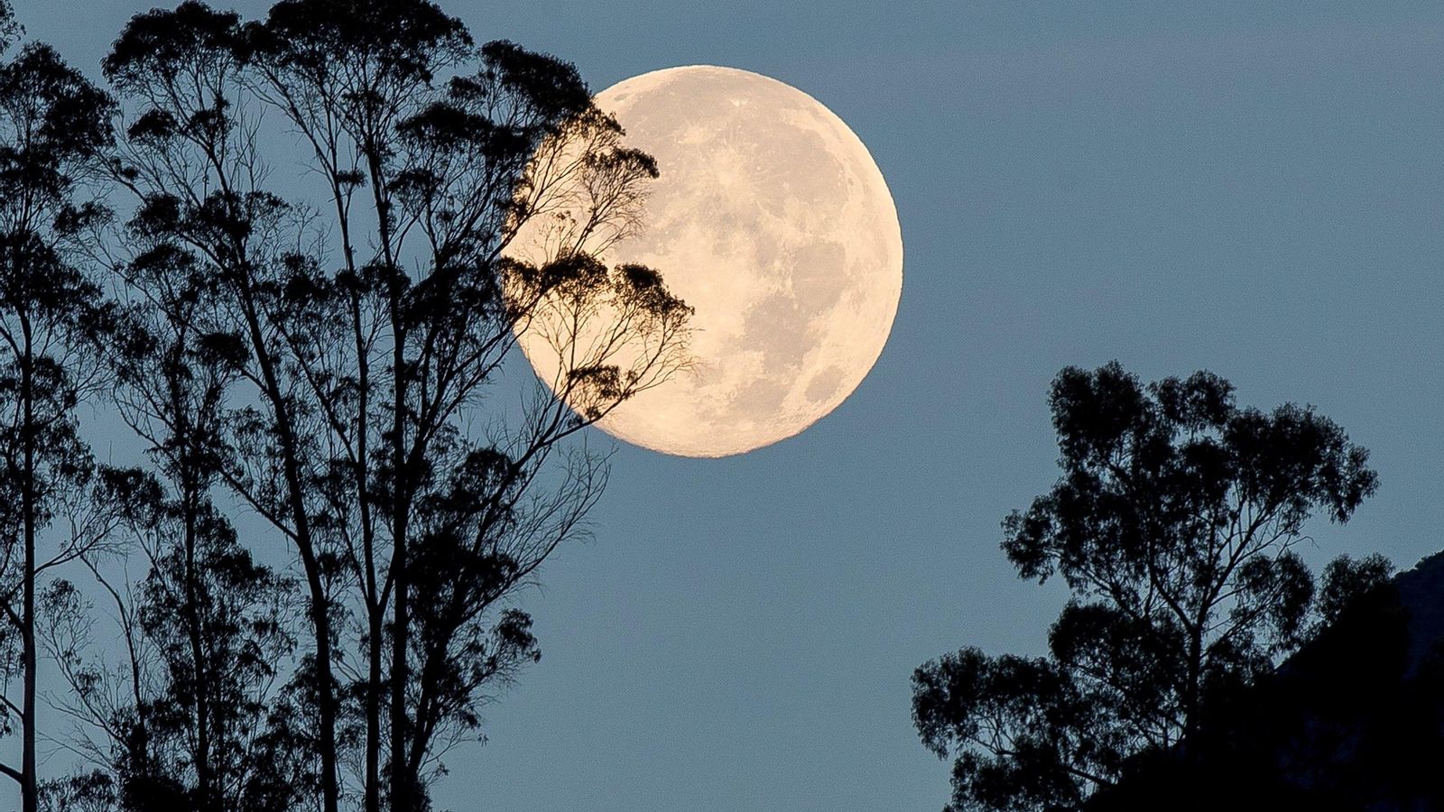 Superluna de las flores.