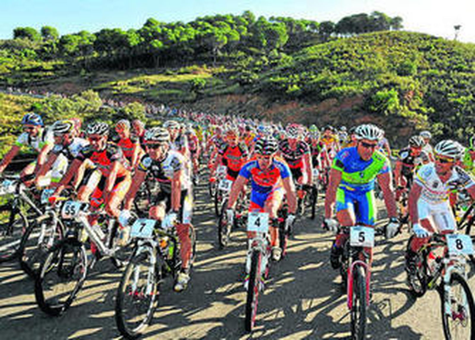La prueba contó con una alta participación y trascurrió por bellos parajes de la localidad onubense.