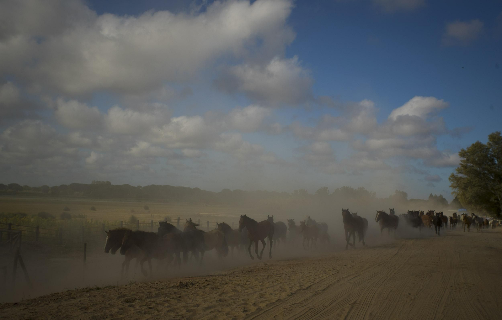 La Saca de las Yeguas, en imágenes