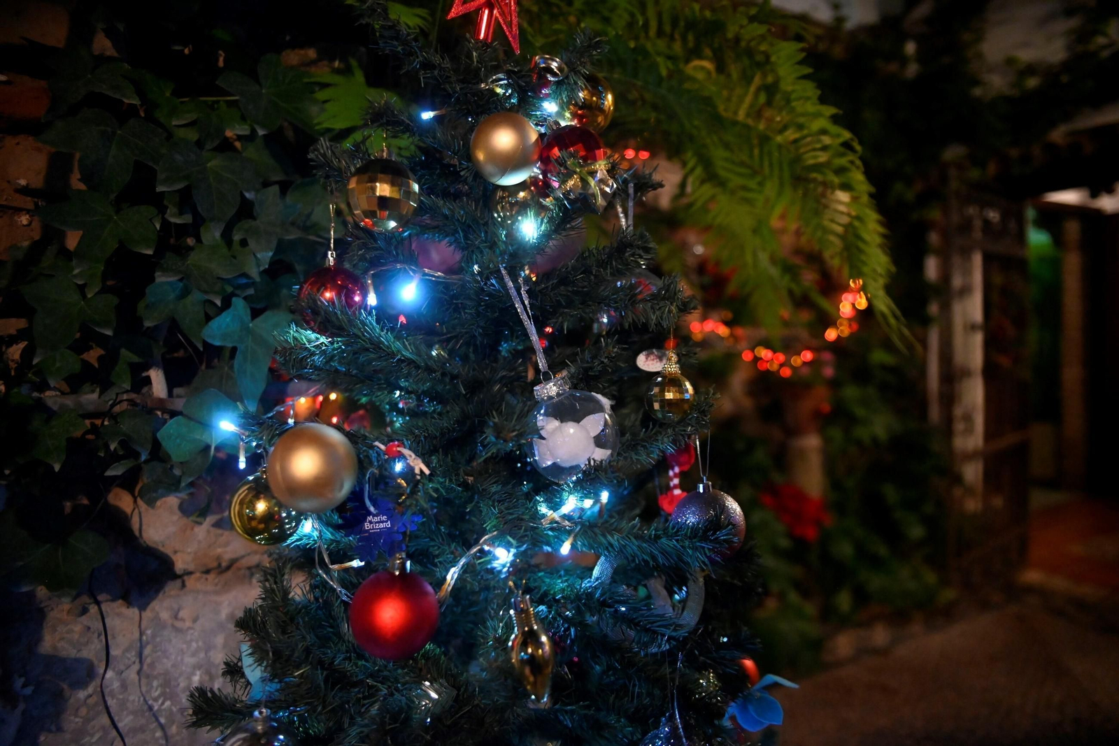 Los Patios de Córdoba se visten de gala por Navidad