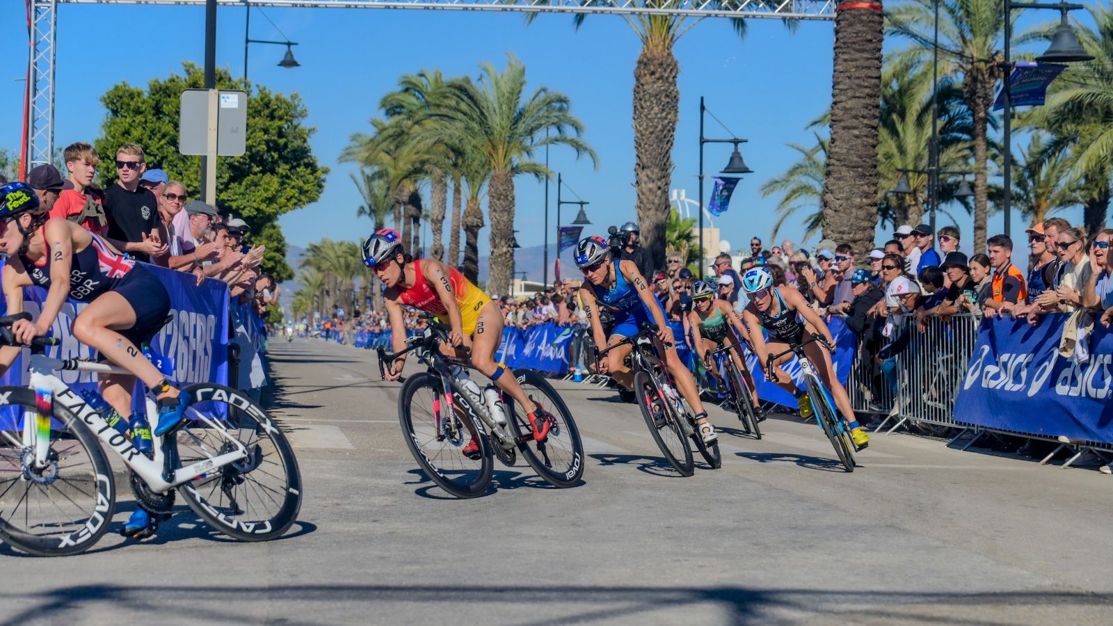 Series Mundiales de triatlón: Cassandre Beaugrand, nueva reina mundial
