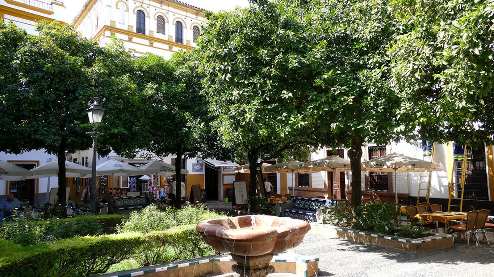 La plaza de Doña Elvira.