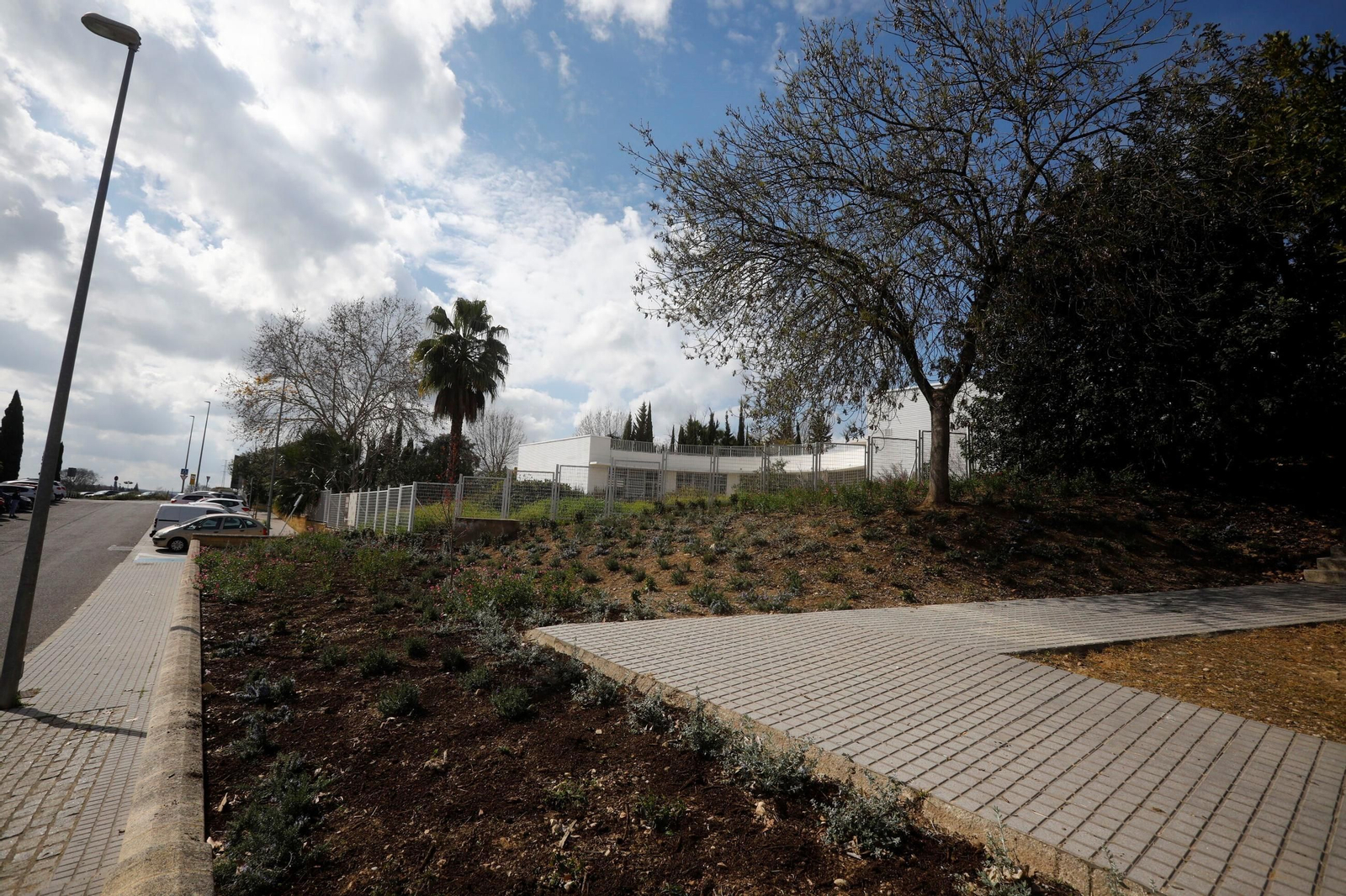 Las zonas verdes repobladas del Hospital Reina Sofía de Córdoba, en imágenes