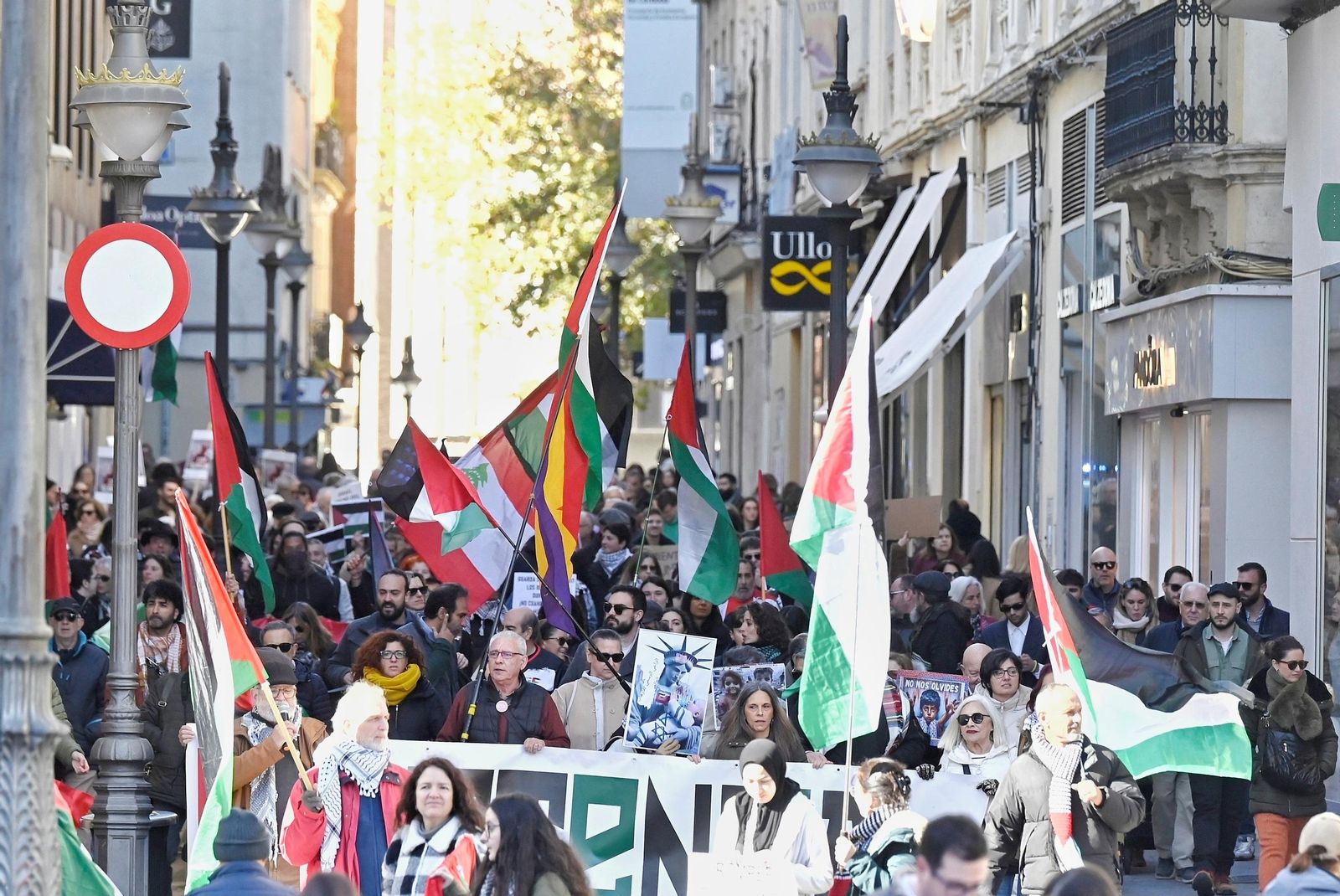 Las imágenes de la manifestación de las iniciativas de solidaridad con Palestina en Córdoba