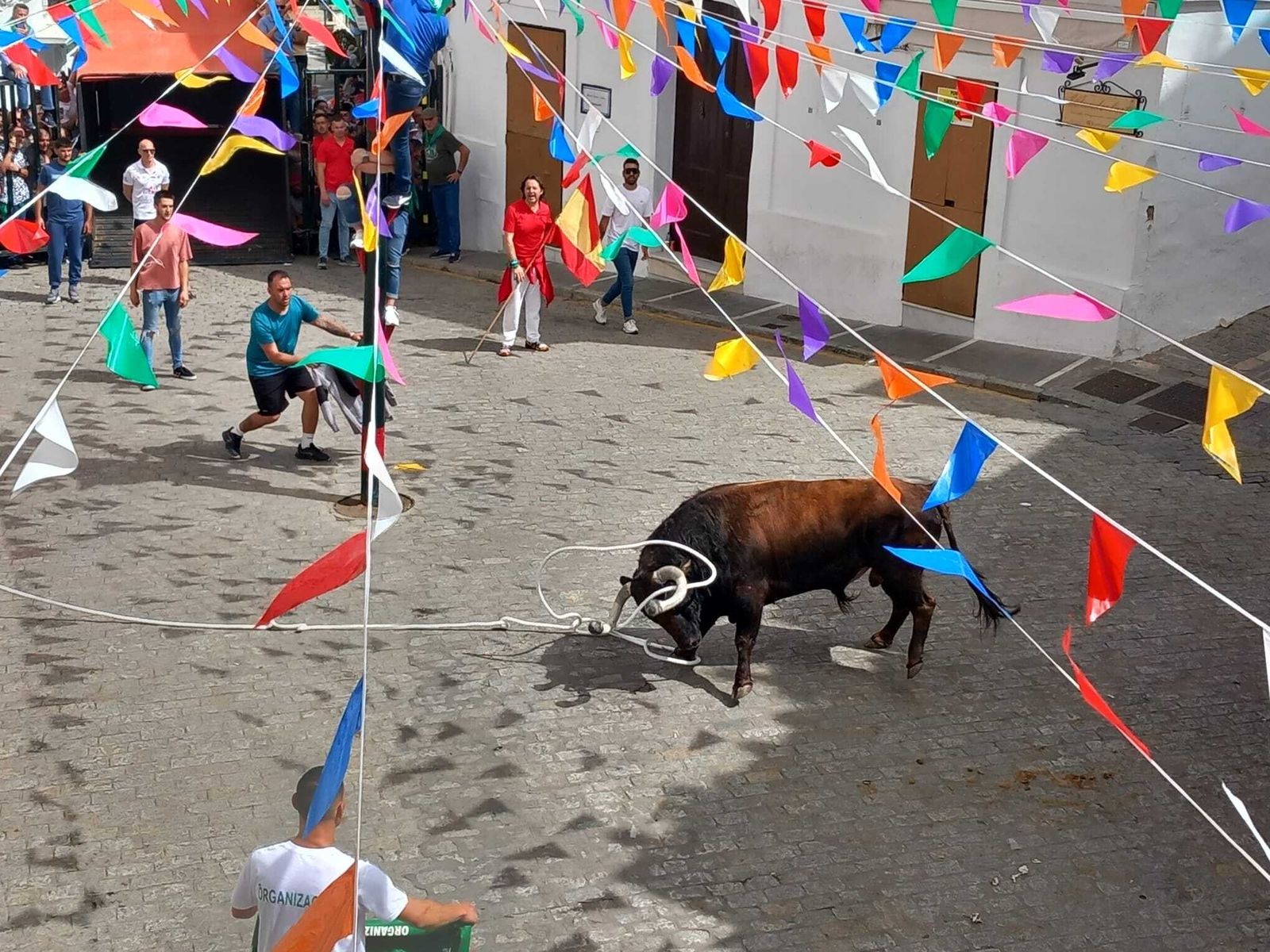 Imágenes de la fiesta del Toro Embolao en Vejer