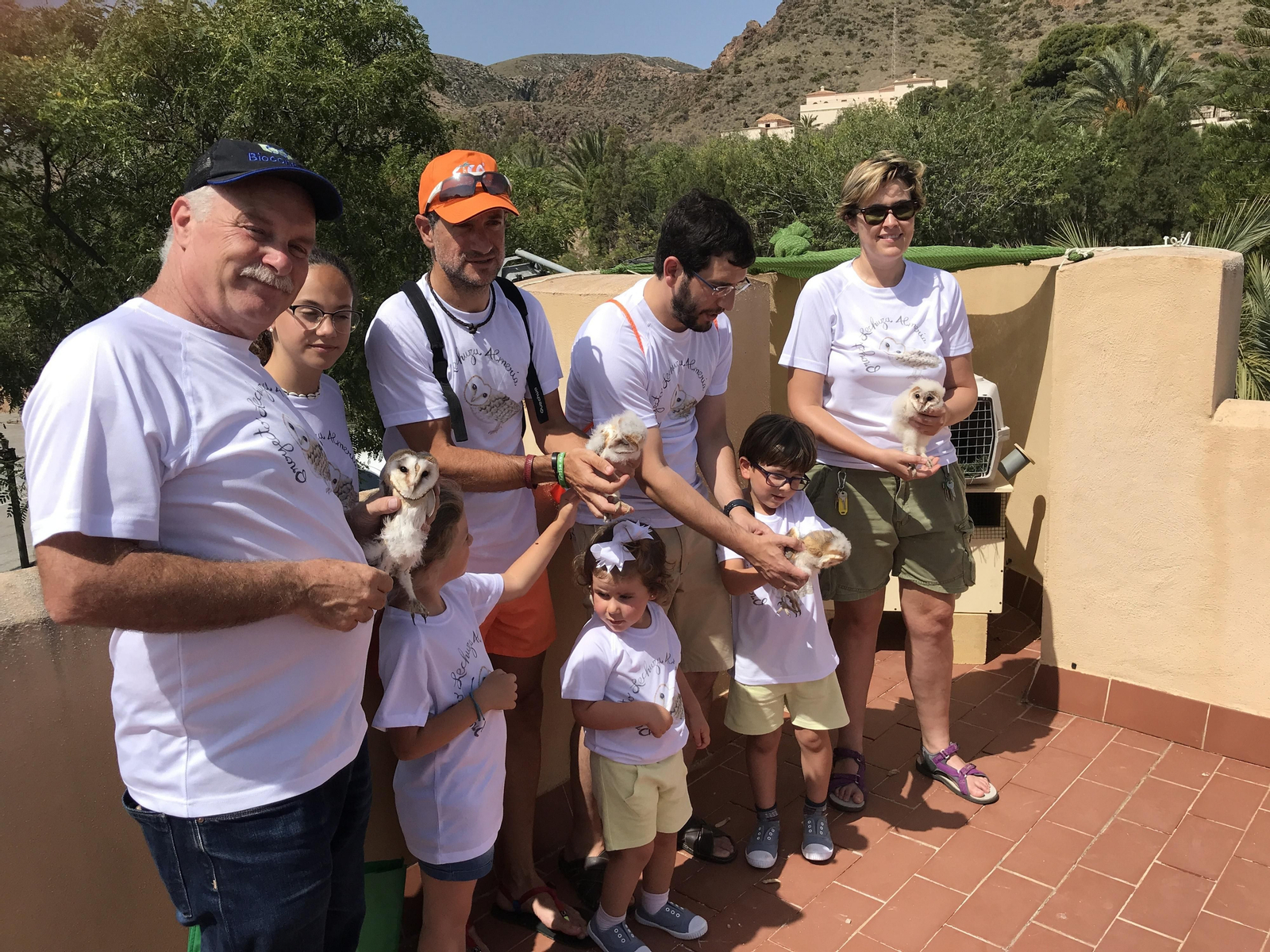 Fotogalería de las nuevas crías de lechuza en Rodalquilar