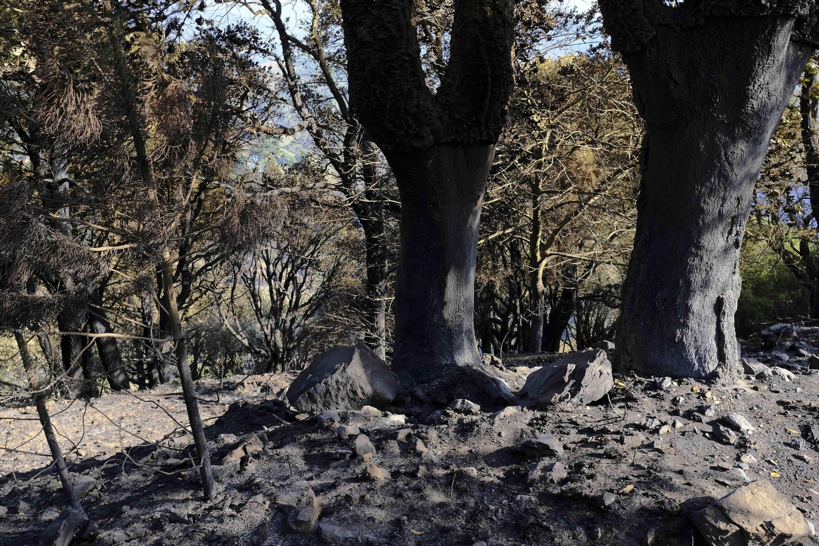 Las fotos del tercer día del incendio en Sierra Bermeja