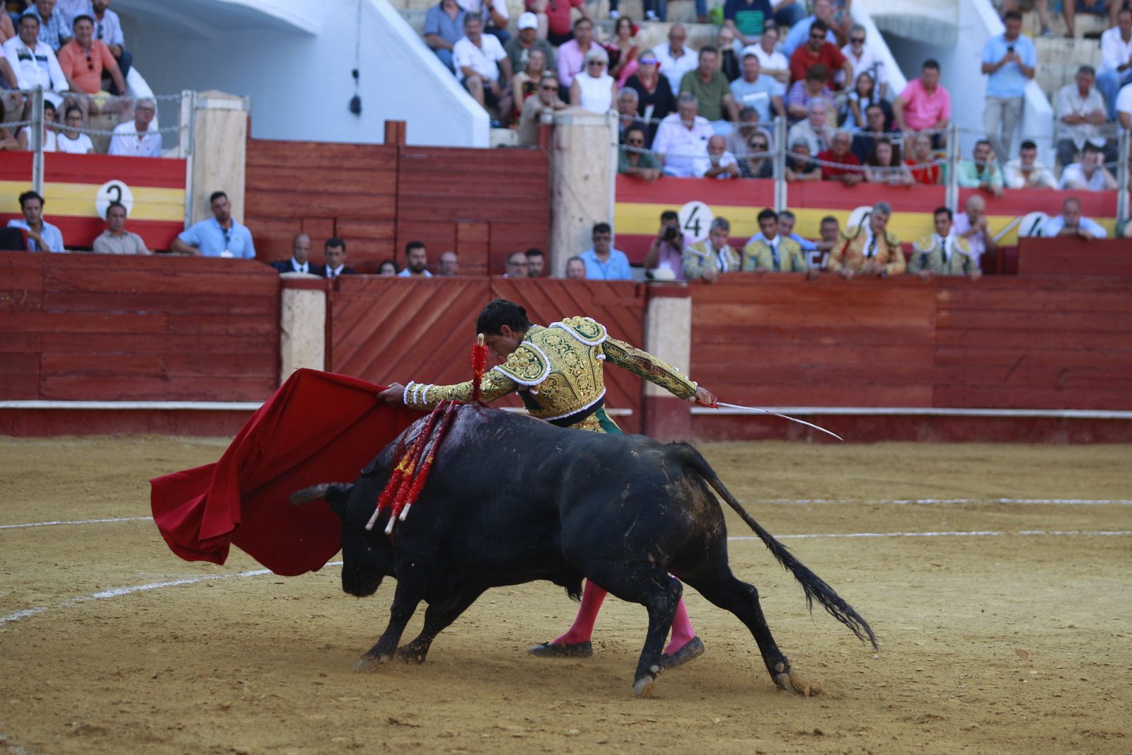 Imágenes de la corrida de toros del jueves en la Feria de Almería 2024