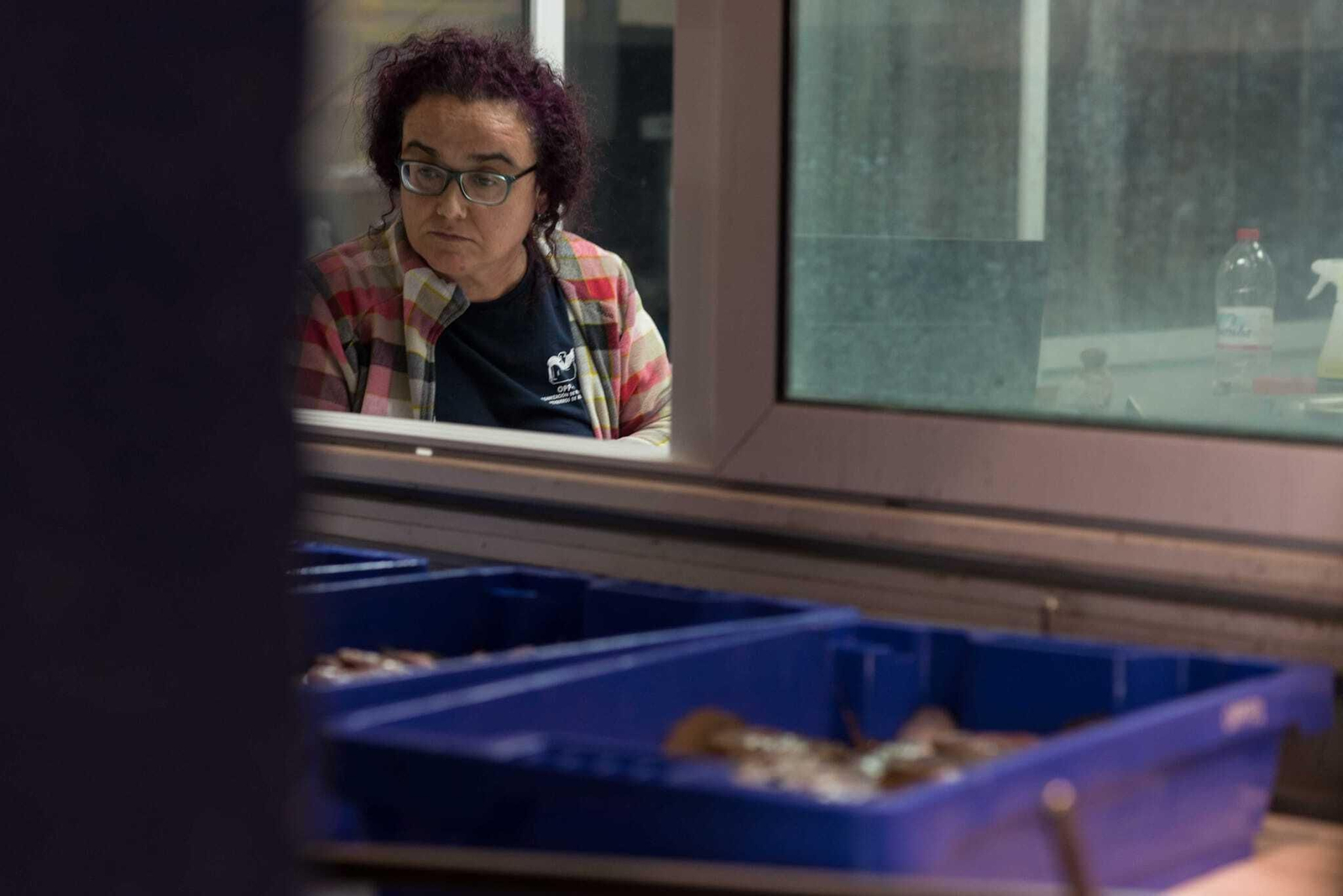 Remedios Marín, trabajando en la lonja de pescado del Puerto de Almería.