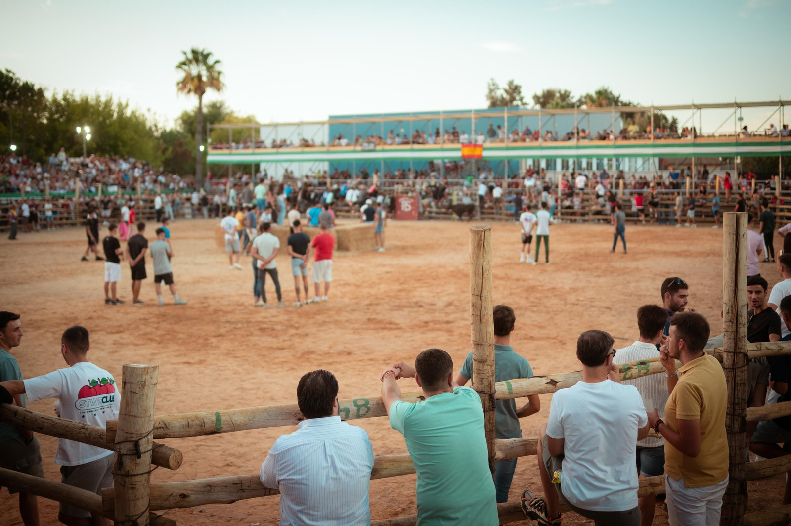 Imágenes de las capeas y del concierto de Antonio José en Trigueros