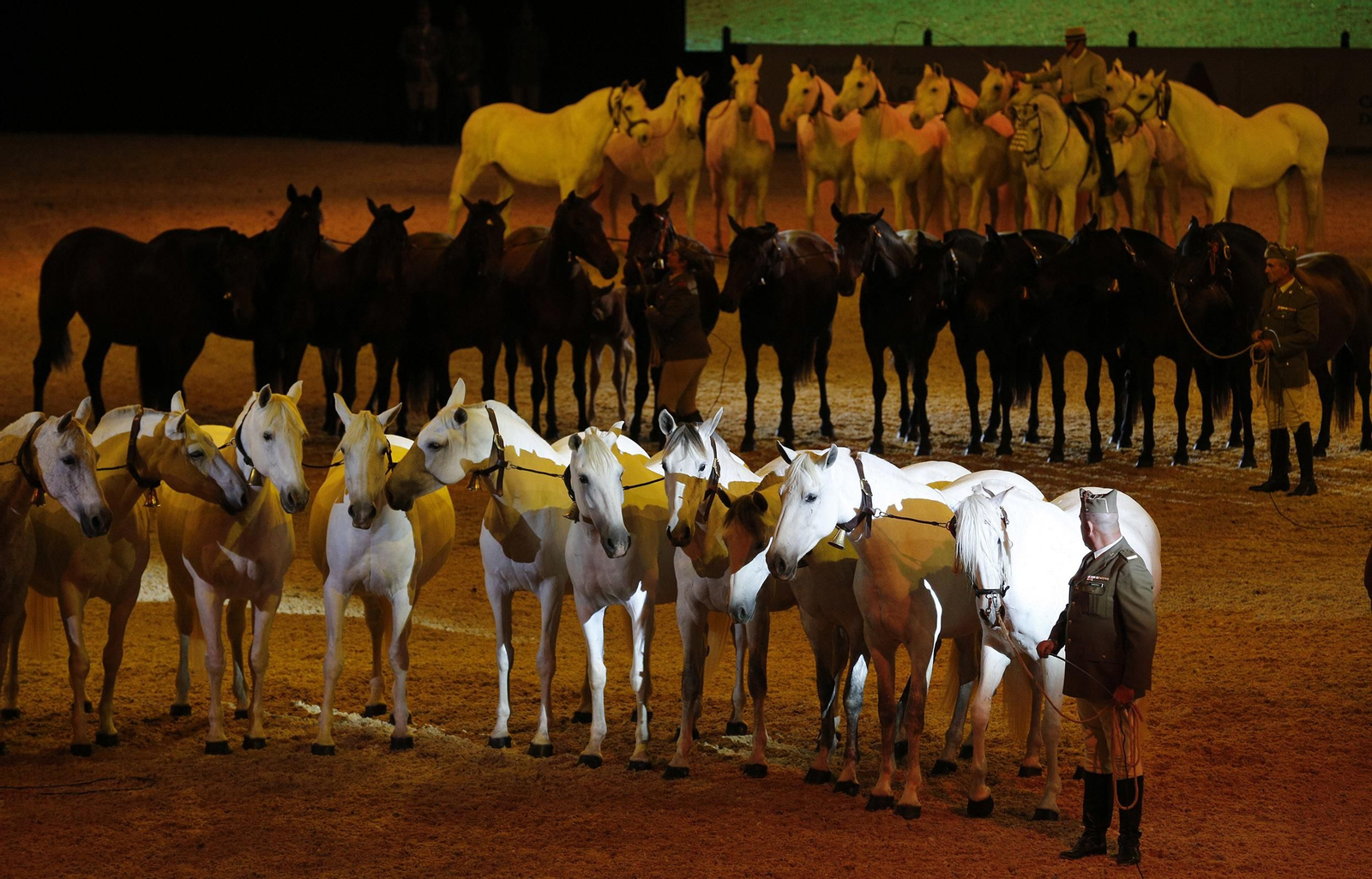 Inauguración de Sicab 2017