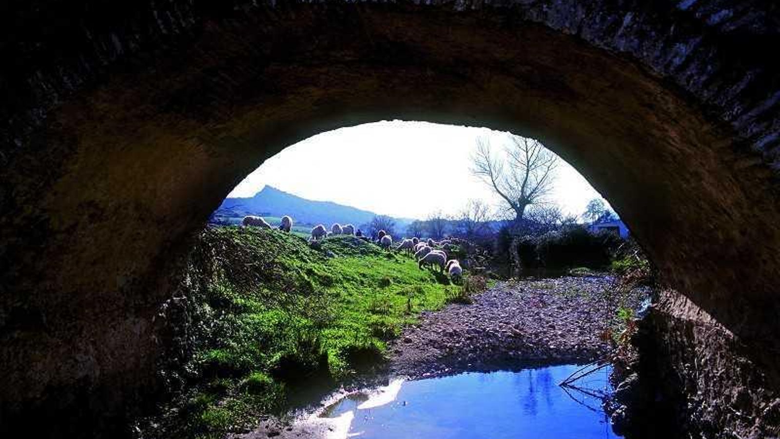 El río Sabar a su paso por Alfarnatejo.