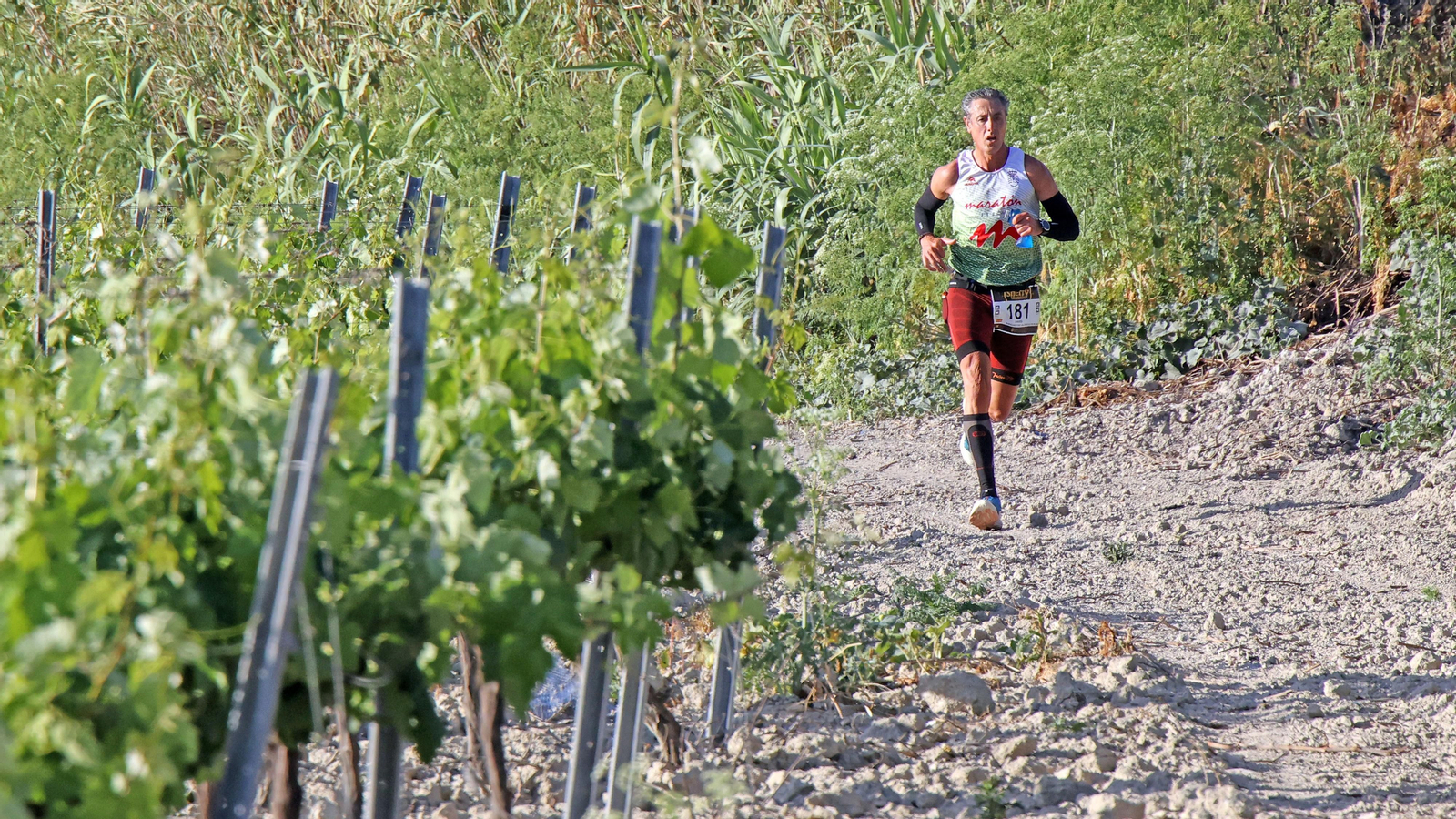 VI Sherry Maratón Jerez