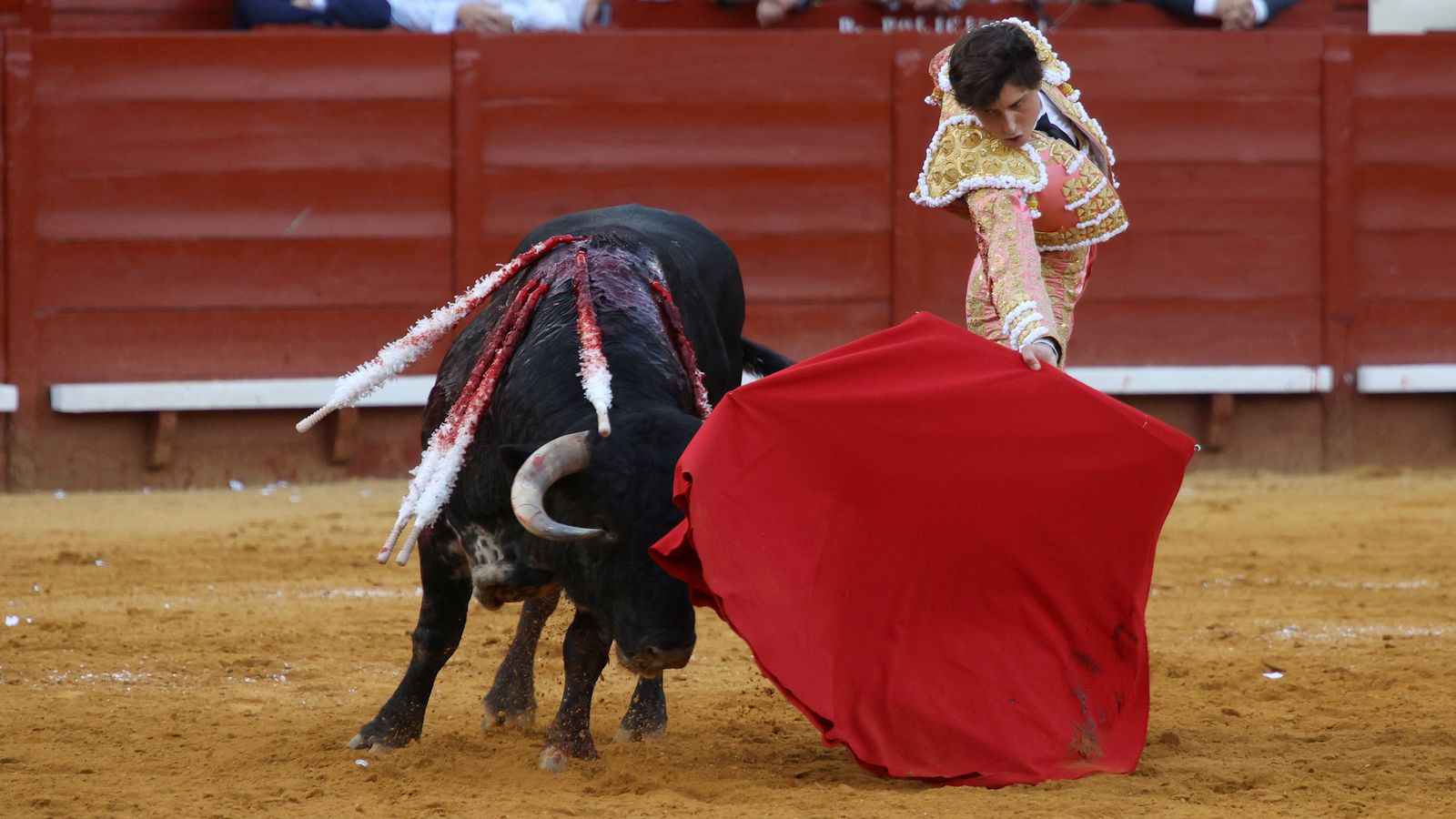 Tercera tarde de toros y última de la Feria de Jerez con Morante, Juan Ortega y Roca Rey