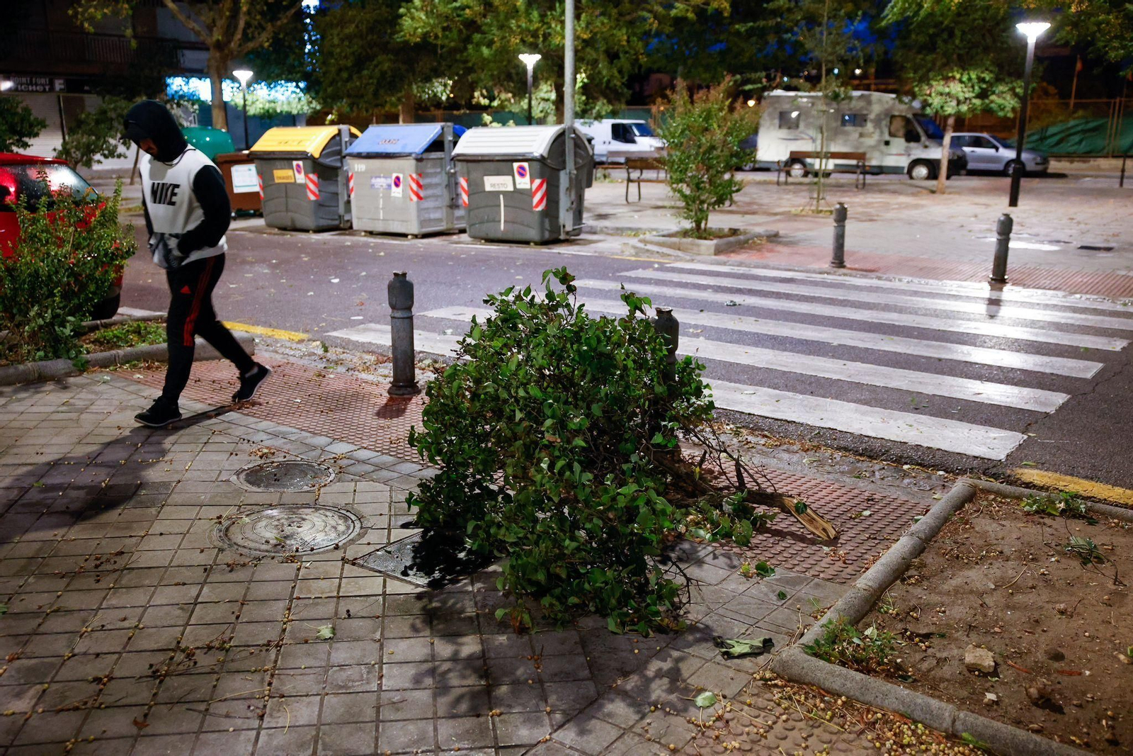 Fotos: así está siendo el fuerte viento de la borrasca Bernard en Granada