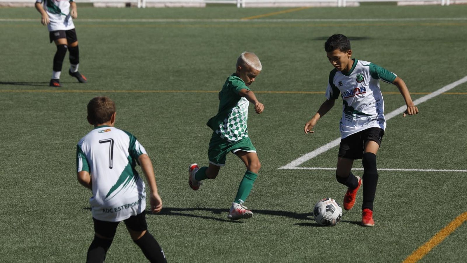 Las fotos del Torneo de alevines en el campo de Los Olivíllos en San Roque