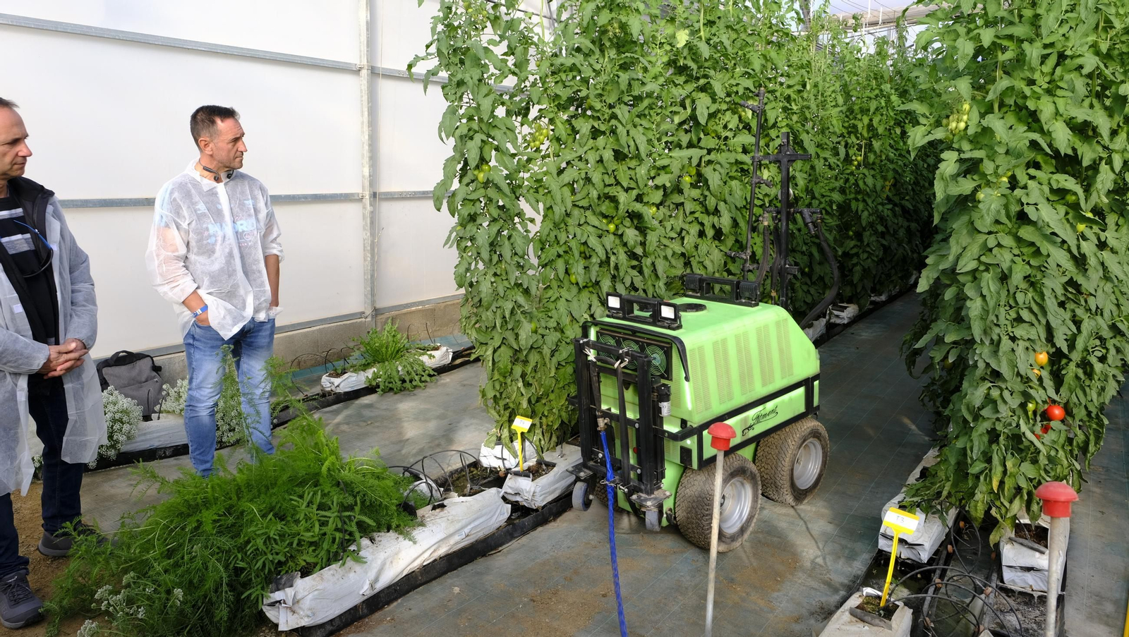 Jornada de puertas abiertas en la Estación Experimental Cajamar Las Palmerillas, en fotos