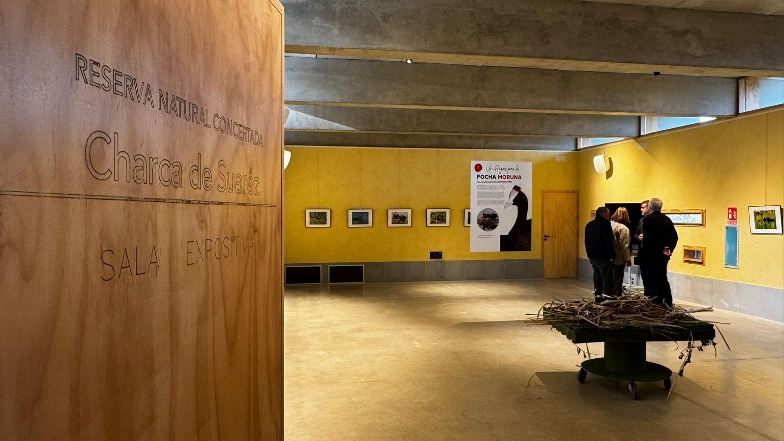 La exposición puede visitarse durante febrero