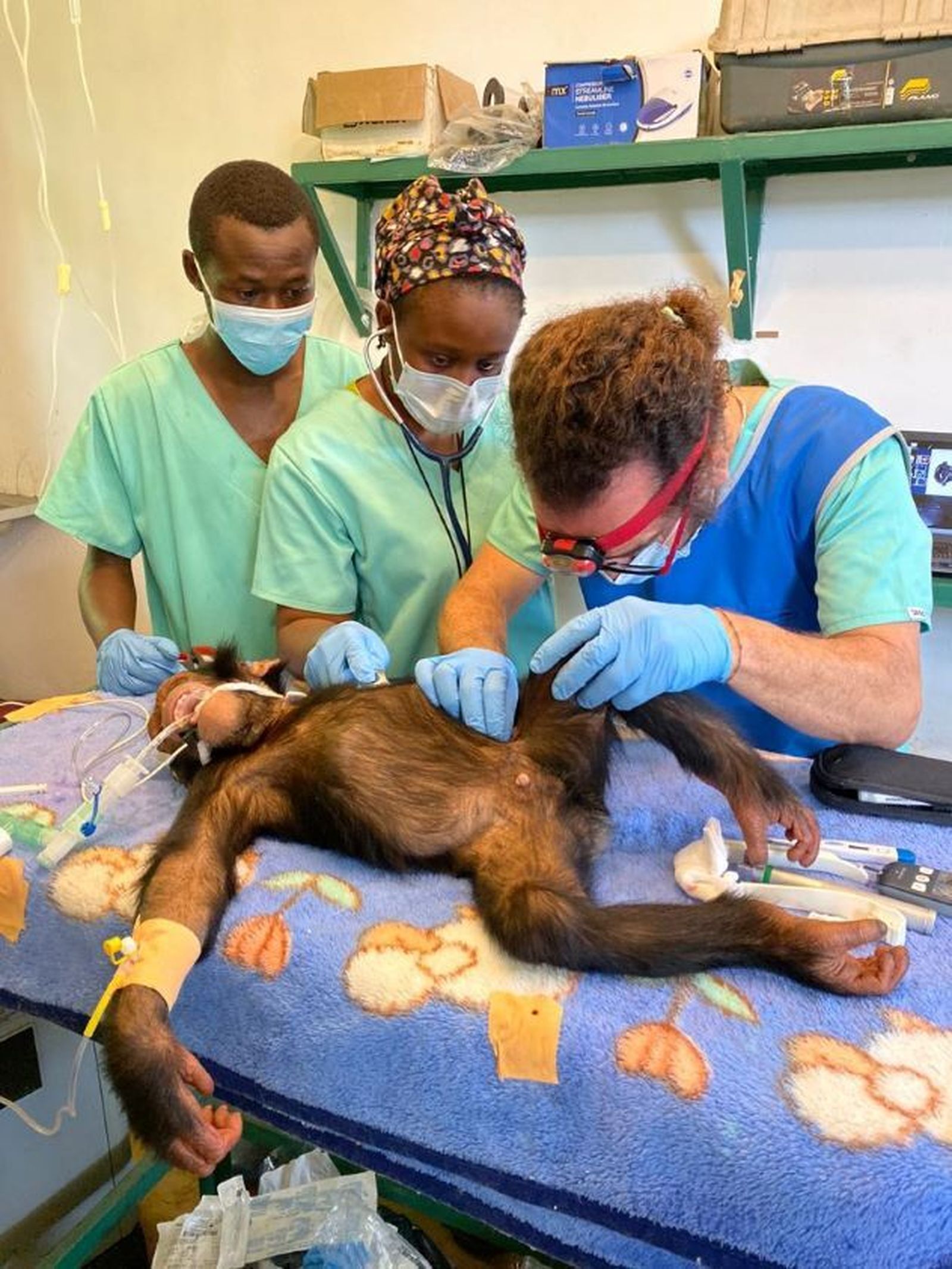 El jerezano Luis Flores, durante una de sus intervenciones.
