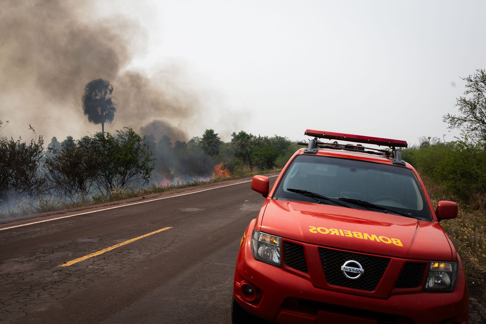 Las llamas convierten en una tumba al aire libre El Pantanal en Brasil